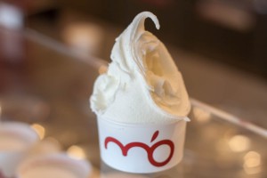 foto del gelato al gusto di yogurt m'o il gelato