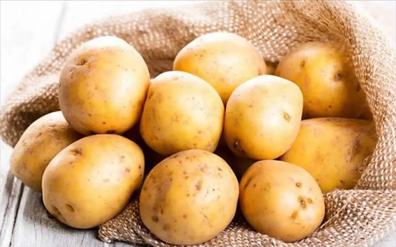 Vuoi raccogliere patate fresche in soli 70 giorni? Ecco le varietà precoci da piantare subito
