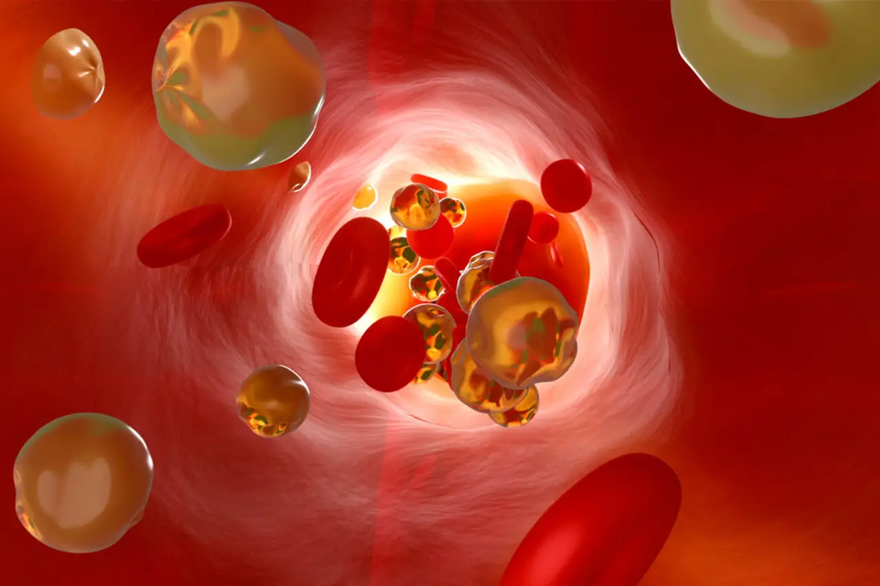 Quali sono gli esami del sangue da fare di routine? Ecco la risposta del medico